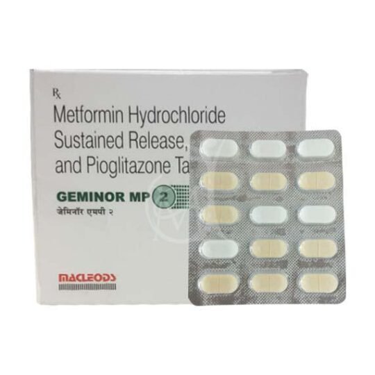 Geminor MP 2 exporter