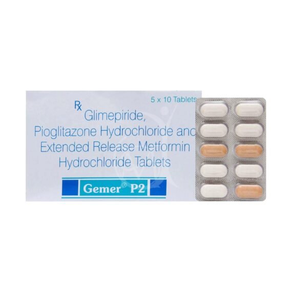 gemer p2 supplier